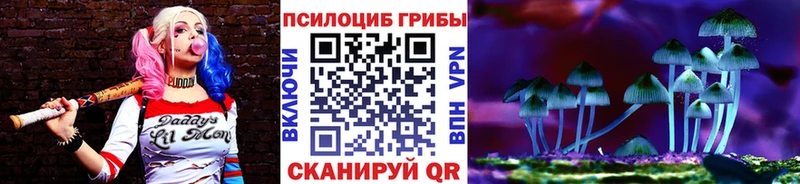 KRAKEN рабочий сайт  Радужный  Галлюциногенные грибы Psilocybe 